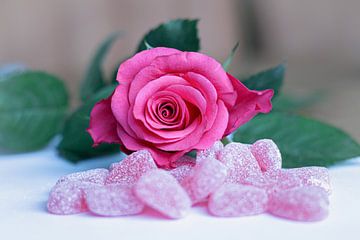 Saint-Valentin - rose rose avec des bonbons en forme de cœur sur Femke Steigstra