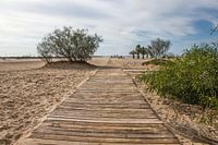 Weg naar het strand