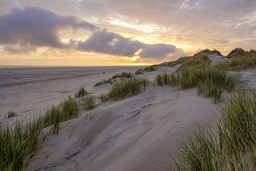 Terschelling et la belle nature de De Boschplaat