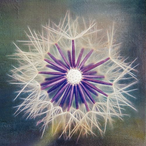 Fluffy Sun - s09bt02a