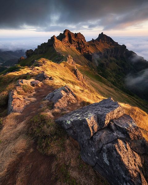 In de ban van de stilte van fernlichtsicht