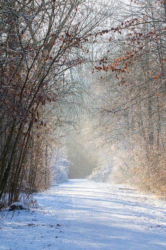 Winterlandschap van Mireille Breen