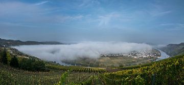 Herbst-Panorama der Mosel bei Trittenheim von Patrick Verhoef
