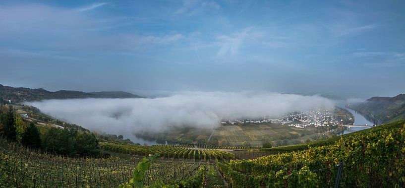 Herfst Panorama van de Moezel bij Trittenheim van Patrick Verhoef