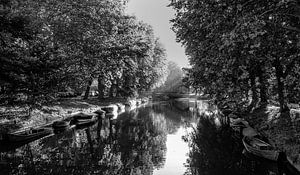 Herfst licht