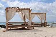 Hold on, cabana on Bonaire. by Silvia Weenink thumbnail