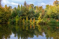 Herfst dromen