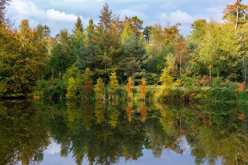 Herfst dromen van Huseyin Bingol