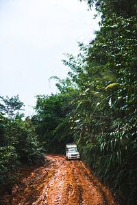 En route vers la jungle sur Yvette Baur