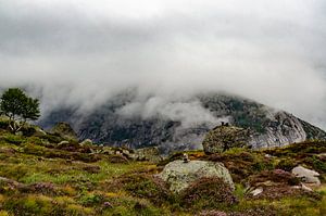 Opkomende mist in de bergen van Noorwegen. von Marly van Gog