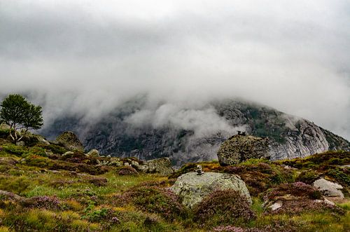 Opkomende mist in de bergen van Noorwegen.