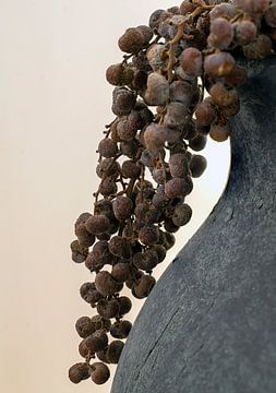 Minimalistisch stilleven van jeneverbes op grijze kruik van Humphry Jacobs