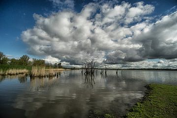 bewolkt drasland van Jo Beerens