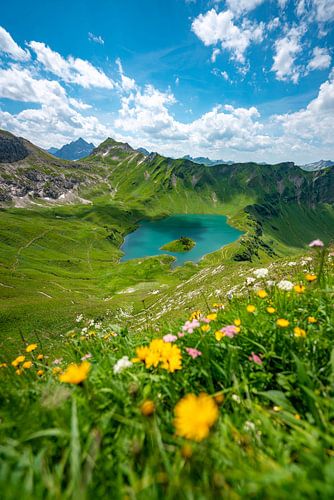 Blumige Sicht auf den Schrecksee und den Hochvogel