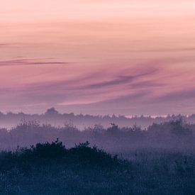 Nebel im Abendlicht, eine Party in Pink- und Orangetönen von Hans de Waay