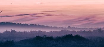mist in avondlicht, een feest in de kleuren roze en oranje