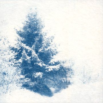 Boom in de sneeuw van Natasja Vugts