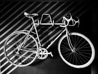 Vintage racing bike