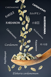 Grüner Kardamom – Aromatische Exotik für feine Genussmomente - Multilingual