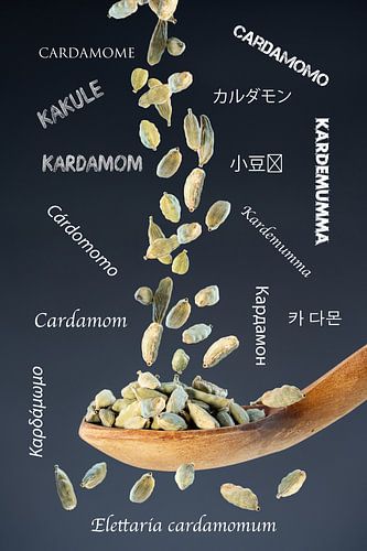 Groene kardemom - Aromatisch exotisme voor fijne momenten van plezier - Meertalig