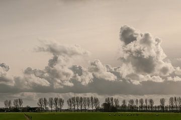 Hollands landchap van Nancy van Verseveld