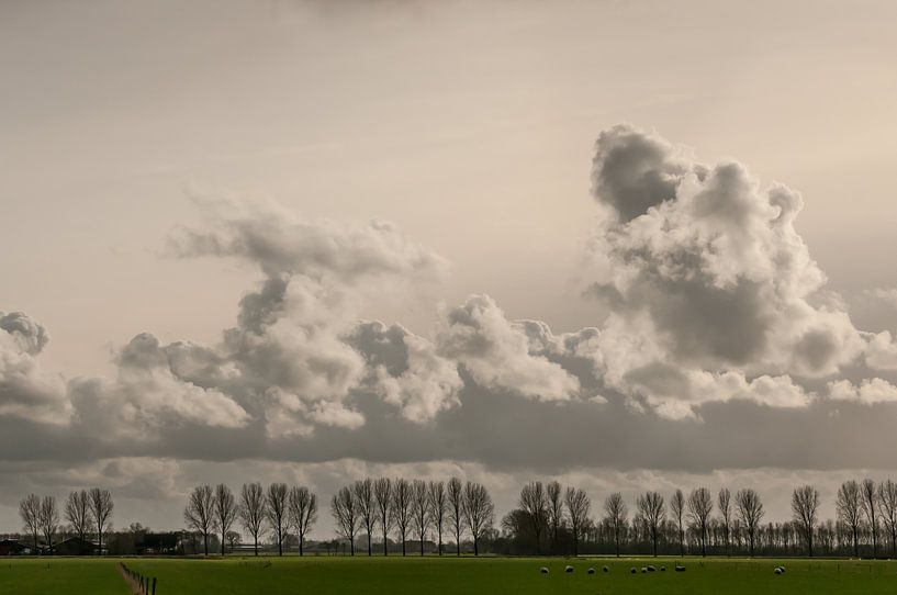 Dutch landscape by Nancy van Verseveld