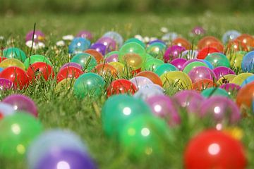 Kleurrijke ballen in het gras van Pfotowelt