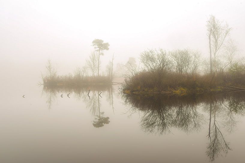 Front Fog by Miranda Rijnen Fotografie