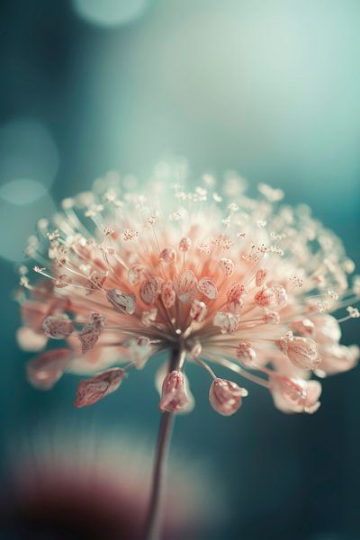 Pastel Pink Beauty No 2 by Treechild
