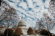 Capitol Hill, Washington D.C. | Photographie de voyage colorée par Trix Leeflang Aperçu