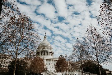 Capitol Hill, Washington D.C. | Photographie de voyage colorée sur Trix Leeflang