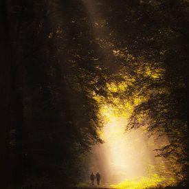 Into the light by Lex Schulte