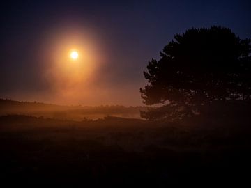 Full moon above the Vogelmeer-2 by Pim Weeda