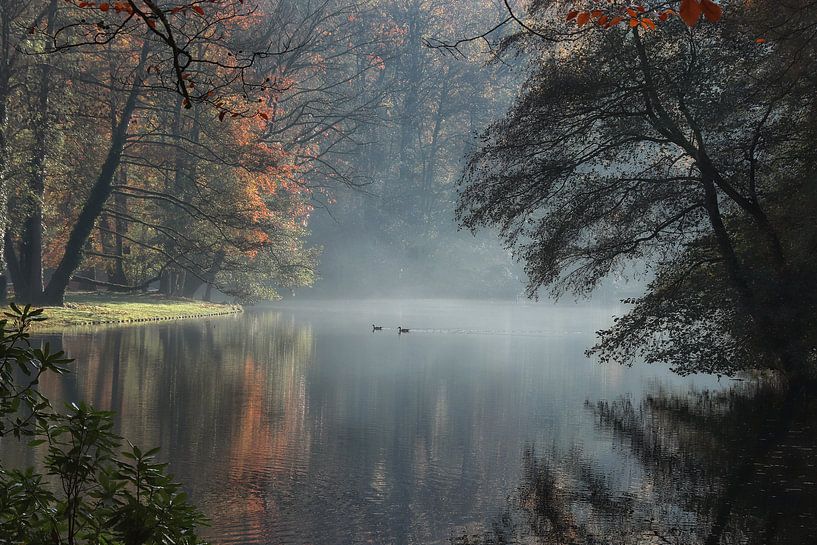 Herbstmorgen von Bob Bleeker