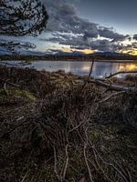 Der Übergang zur Blauen Stunde