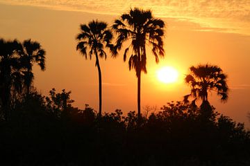 Sunset in the Okavango Delta