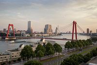 Sky line Rotterdam