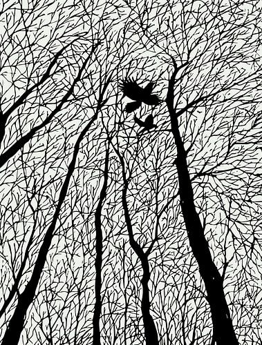 Silhouetten van raven in winterse bomen