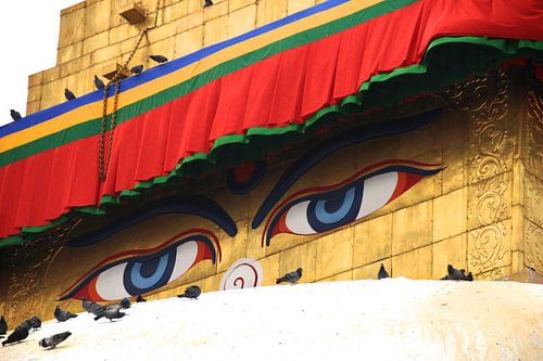 Buddha-eyes