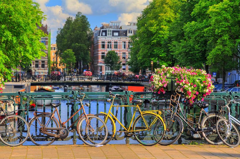 Fietsen op de brug in zomers Amsterdam van Dennis van de Water