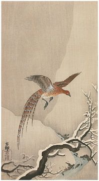 Ohara Koson - Kupferfasan im Schnee (bearbeitet) von Peter Balan