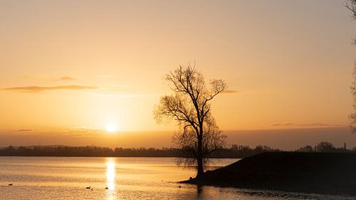 Zonsopkomst 2 van René Jonkhout