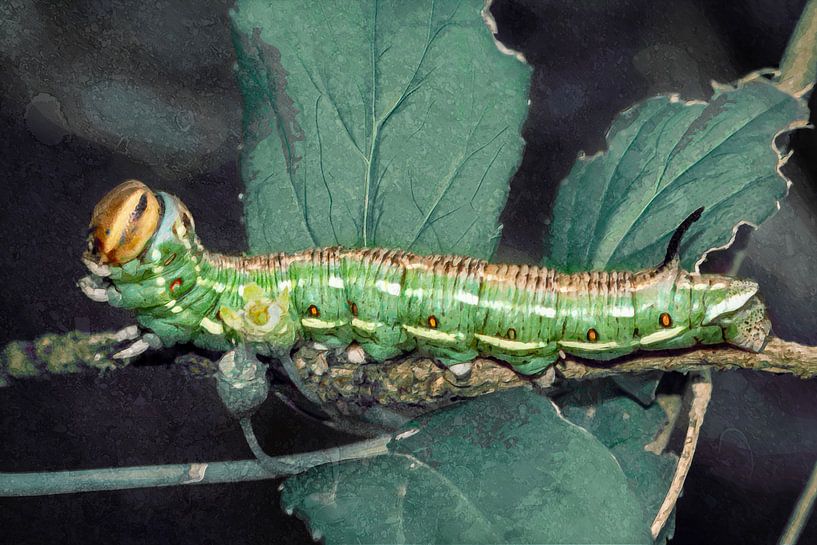 La grande chenille verte : de la branche à l'œuvre d'art par Studio Mirabelle
