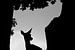 Edelhert hinde kijkend tussen de bomen in zwart-wit van AGAMI Photo Agency