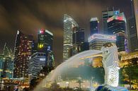 Merlion 1 van Martin de Hoog thumbnail