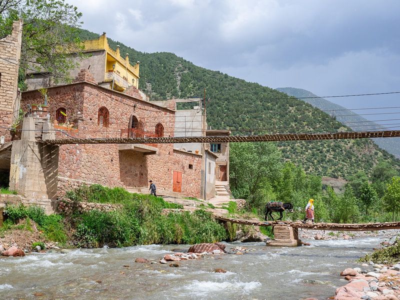 Marokkaanse vrouw met ezel gaat op pad van Marlies de Buck