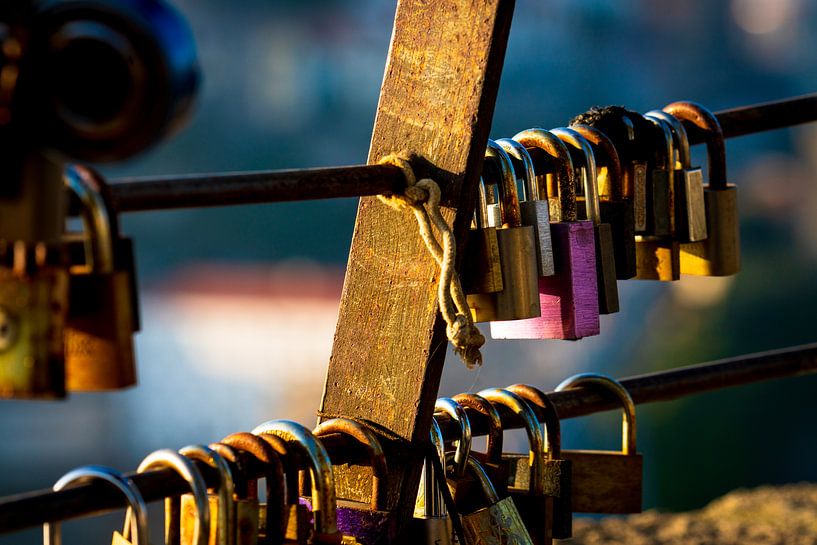 Lovelocks In Deep Colour van Urban Photo Lab