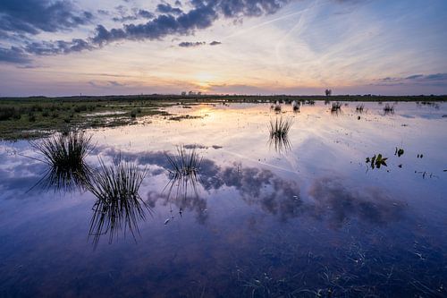 Spectaculaire reflectie