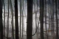 Herfst