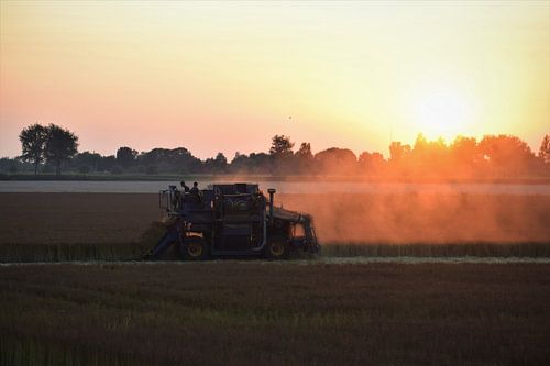laat het licht schijnen